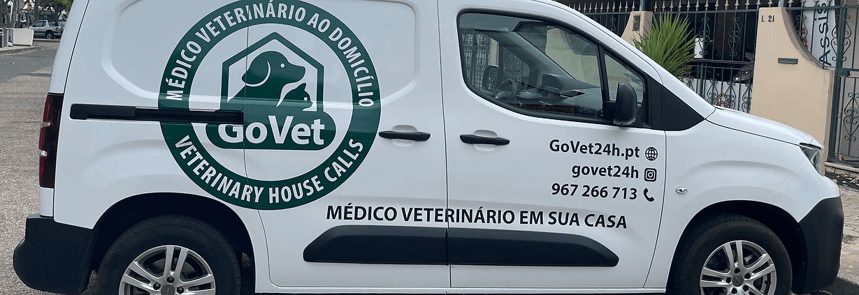 Equipa GoVet pronta para atendimento ao domicílio