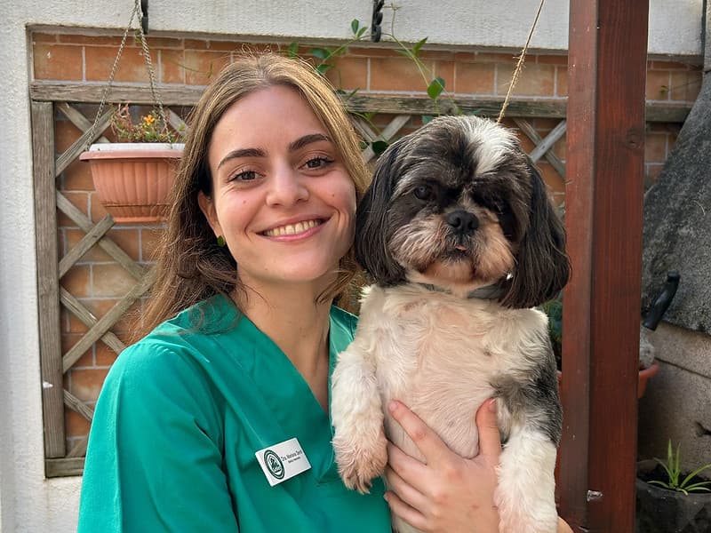 Visita veterinária com carinho e cuidado